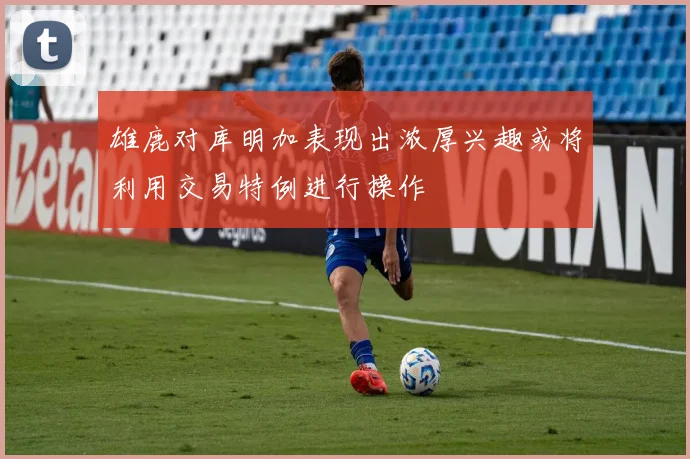 雄鹿对库明加表现出浓厚兴趣或将利用交易特例进行操作
