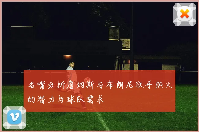 名嘴分析詹姆斯与布朗尼联手热火的潜力与球队需求